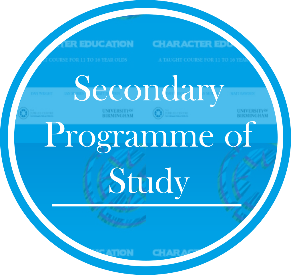 secondary programme of study